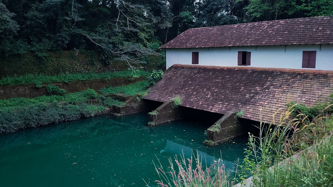 Micro and Mini Hydro: A Guide to Small Scale Power Pricing